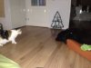 Foto's iPhone  941.jpg