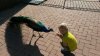 IMG_545870870411488.jpg