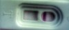 received_543941879072782.jpg