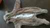 20141008_104345.jpg