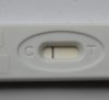 test3.1.jpg