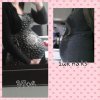 PhotoGrid_1422537645106.jpg