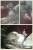 Collage 2015-01-29 20_18_05.jpg