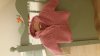 IMG-20150108-WA0012.jpg
