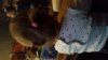 20141208_081456.jpg
