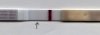 test.jpg