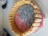 20150215_101554.jpg