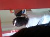 IMG_20120807_081733.jpg