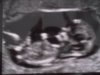 DSCF2827.jpg