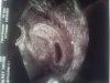 20120811_115425.jpg