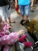 20120805_105139.jpg