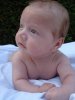 DSC08379.jpg