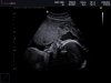 BABY BRUGGE_0033.jpg