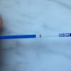 test 2.jpg
