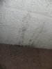 DSCN5818.jpg