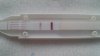 20150311_074054.jpg