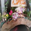 2015-03-11 11.09.jpg