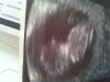 17636-albums16223-picture99887.jpg