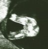 Scan0001.jpg