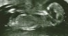 Scan0002.jpg