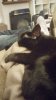 20141214_180226.jpg