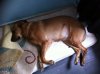 IMG-20150325-WA0000.jpg