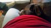 20150317_182002.jpg