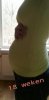 FB_IMG_1429898170410.jpg