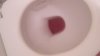 20150425_100901.jpg