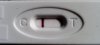 WP_00118722.jpg