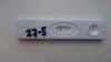 15 dpo.jpg