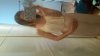 20150605_104447.jpg