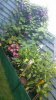 balkon07.jpg