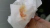 20150609_184344.jpg