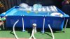 20150701_124321.jpg
