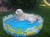20150703_100942.jpg