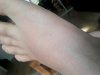 WP_20150704_056.jpg