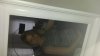 20150705_184332.jpg