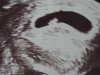 DSCN4565.jpg