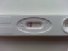 20120822_073103.jpg