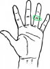 hand.jpg