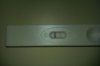 IMAG0350.jpg