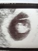 Foto10.jpg