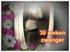 38 weken bewerkt.jpg