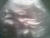 Foto0124.jpg