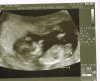 12wkn1.jpg