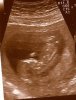 Baby 2.jpg