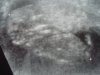 DSC03874.jpg