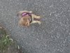 20150723_192114.jpg