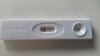 20150728_175017.jpg